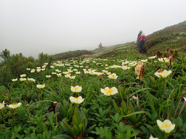 f0214649_2424250.jpg