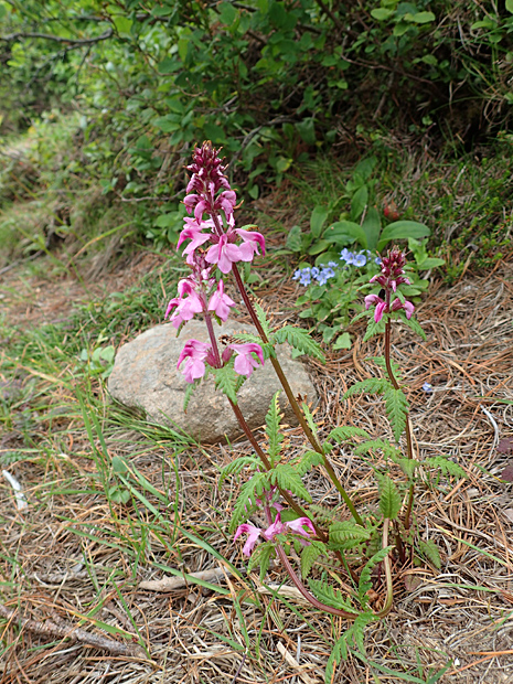 f0214649_250528.jpg