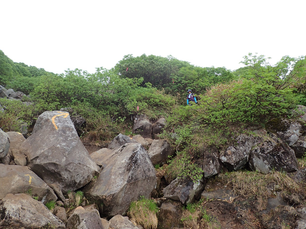 f0214649_2571174.jpg
