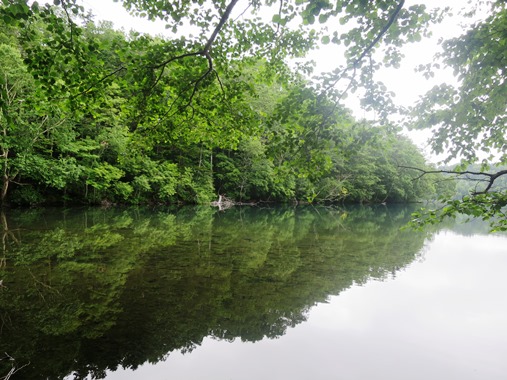 f0202151_11273970.jpg