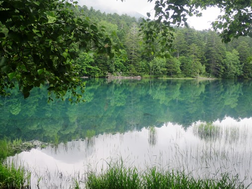 f0202151_11281159.jpg