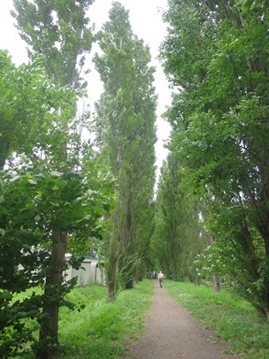 f0202151_2234262.jpg