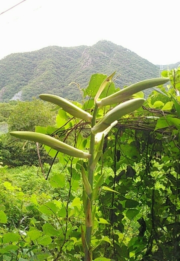 a0018655_11114666.jpg