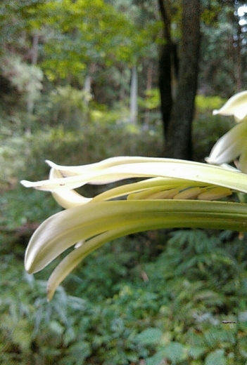 a0018655_11120125.jpg