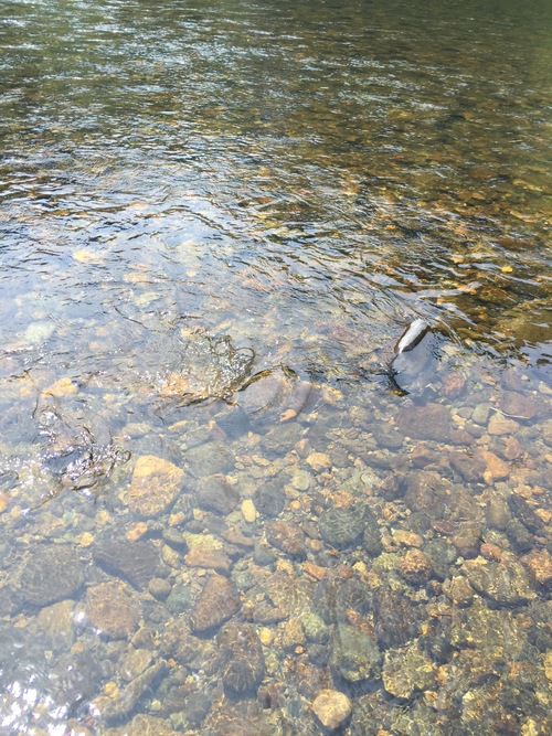 a0044162_47750.jpg