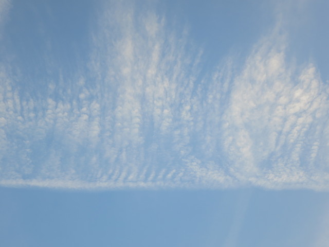 c0099564_18415356.jpg