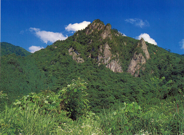 c0099564_19393661.jpg