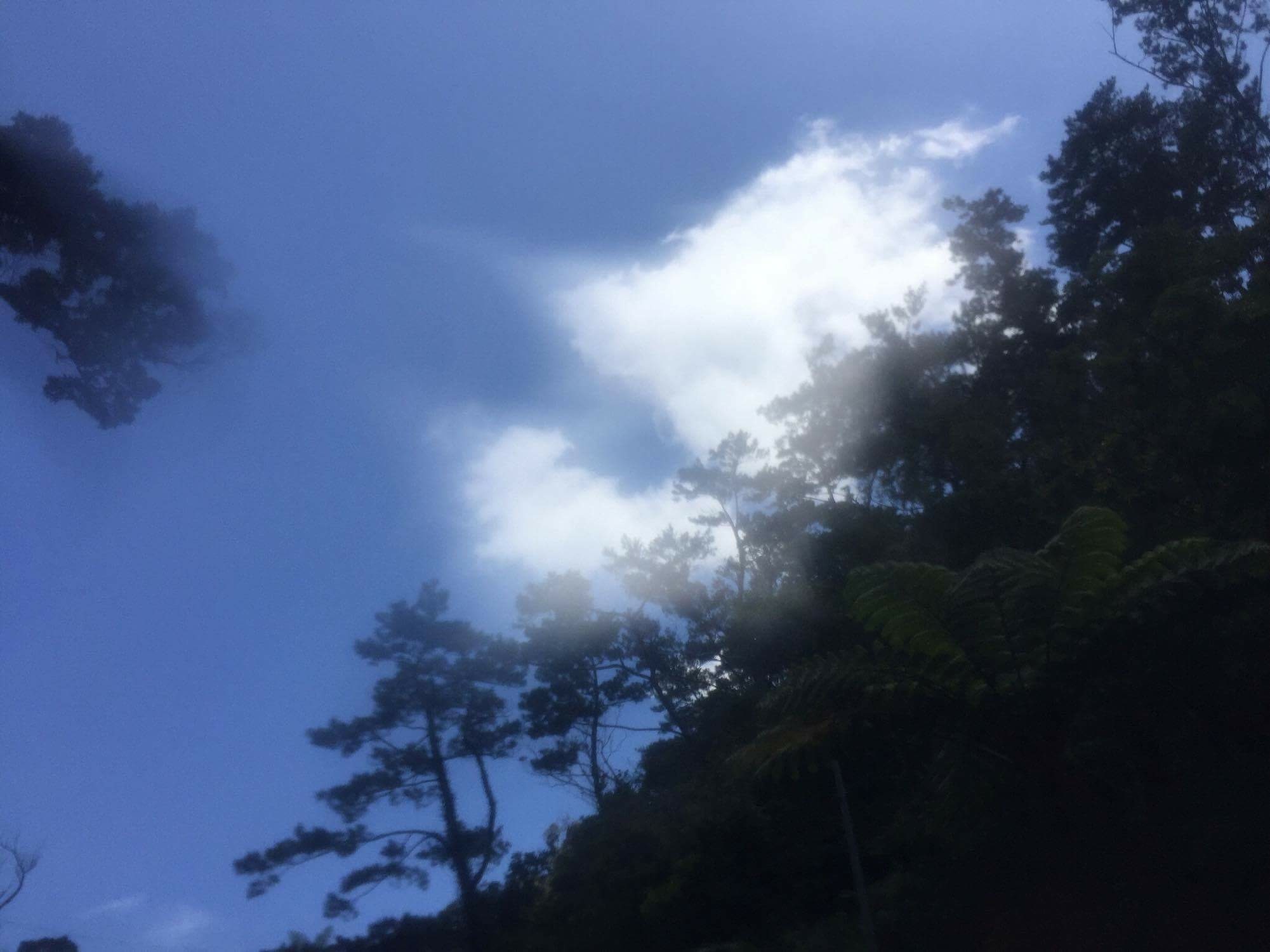b0343370_20092836.jpg