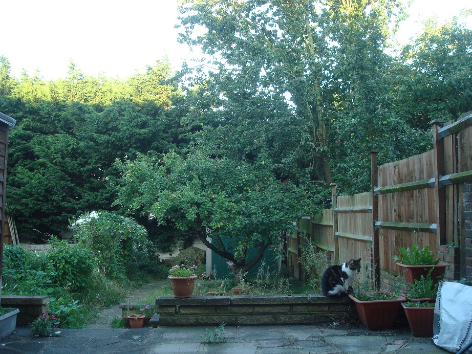 a0123372_2062697.jpg