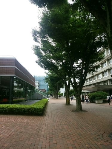 c0143474_23185345.jpg