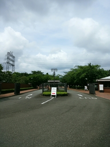 c0143474_23185608.jpg
