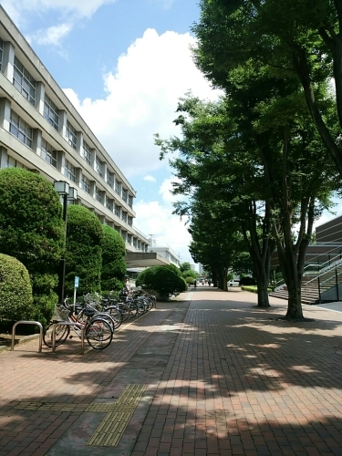 c0143474_23185965.jpg