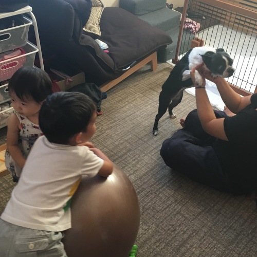 d0041575_19143948.jpeg