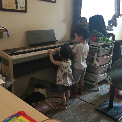 d0041575_19201657.jpeg