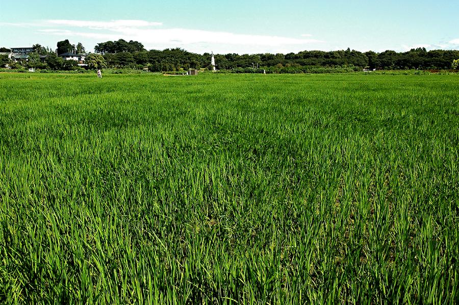 a0044076_1510266.jpg