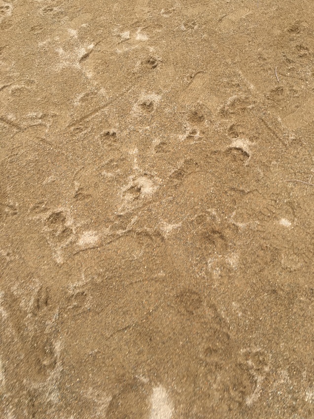 c0283778_18323359.jpg