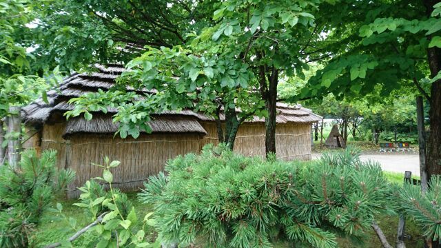 c0312878_20503248.jpg