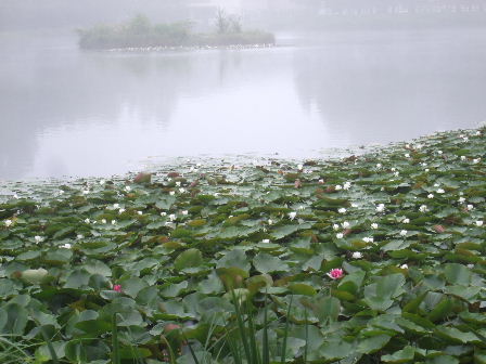 f0039281_15211954.jpg