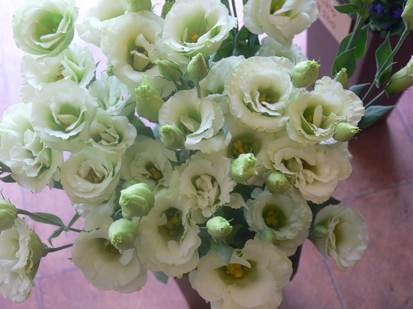 e0140986_13475737.jpg
