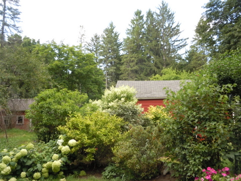 d0103098_1045244.jpg