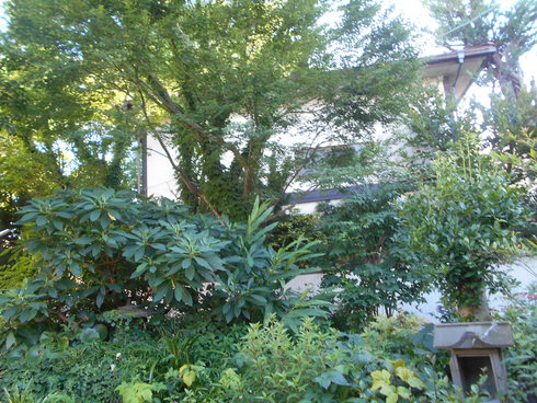f0083803_18582655.jpg