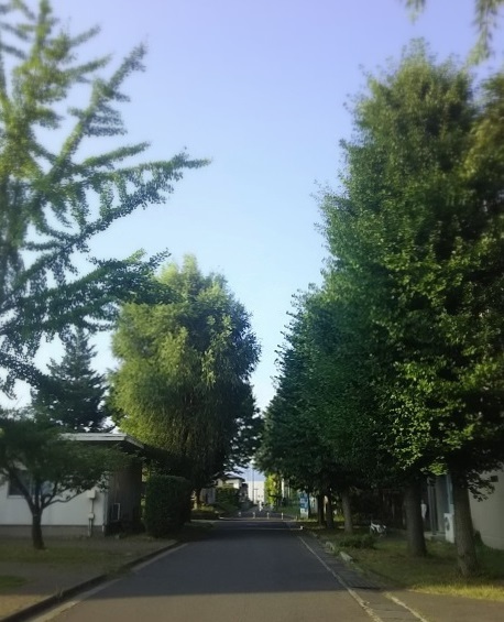 e0347508_18043093.jpg