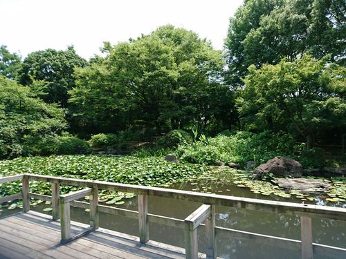e0179321_11111991.jpg