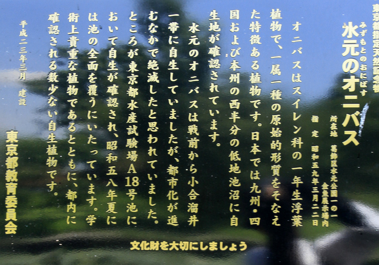 c0104227_21145745.jpg