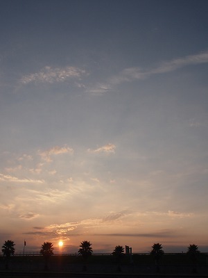 a0148431_20321617.jpg