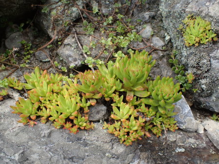 c0353632_11373343.jpg