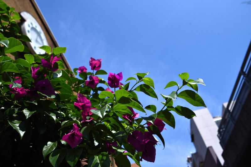 a0318033_22183879.jpg