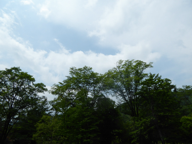 f0104042_21563899.jpg