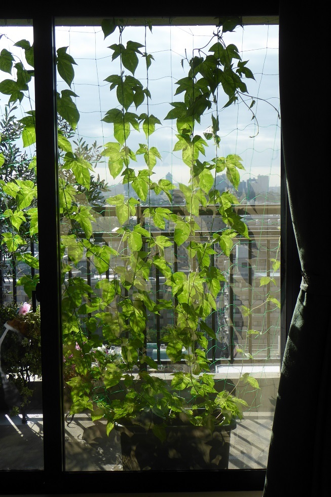 d0288144_15580651.jpg