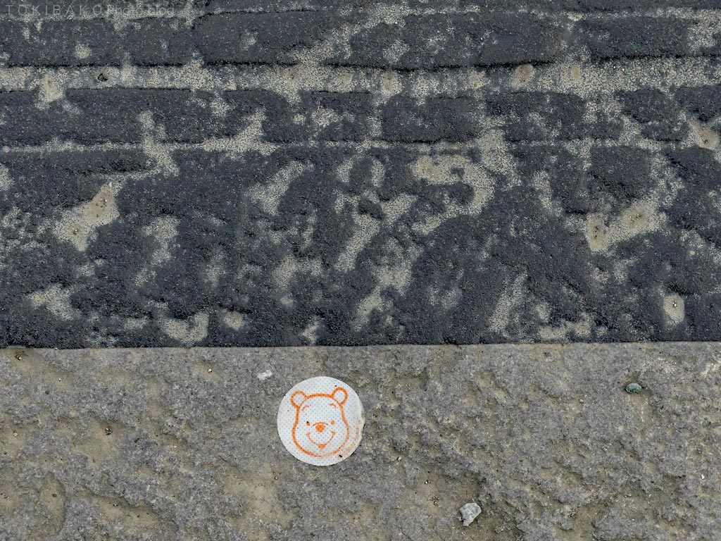 d0100156_15392434.jpg