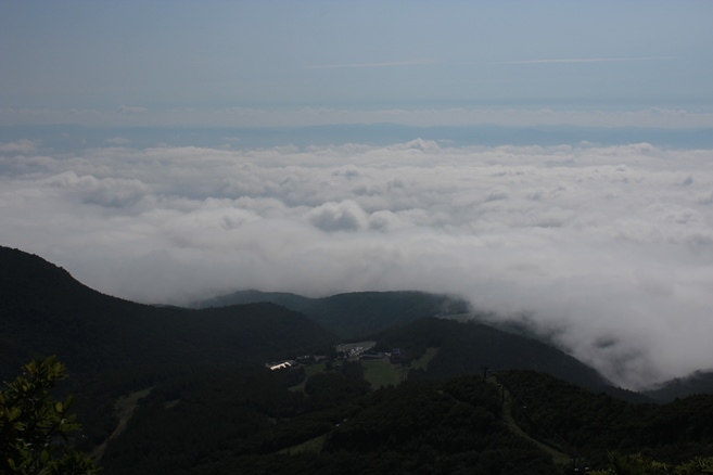 e0239458_09582829.jpg