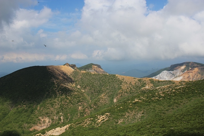 e0239458_10115750.jpg