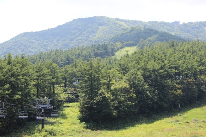 e0239458_10533054.jpg