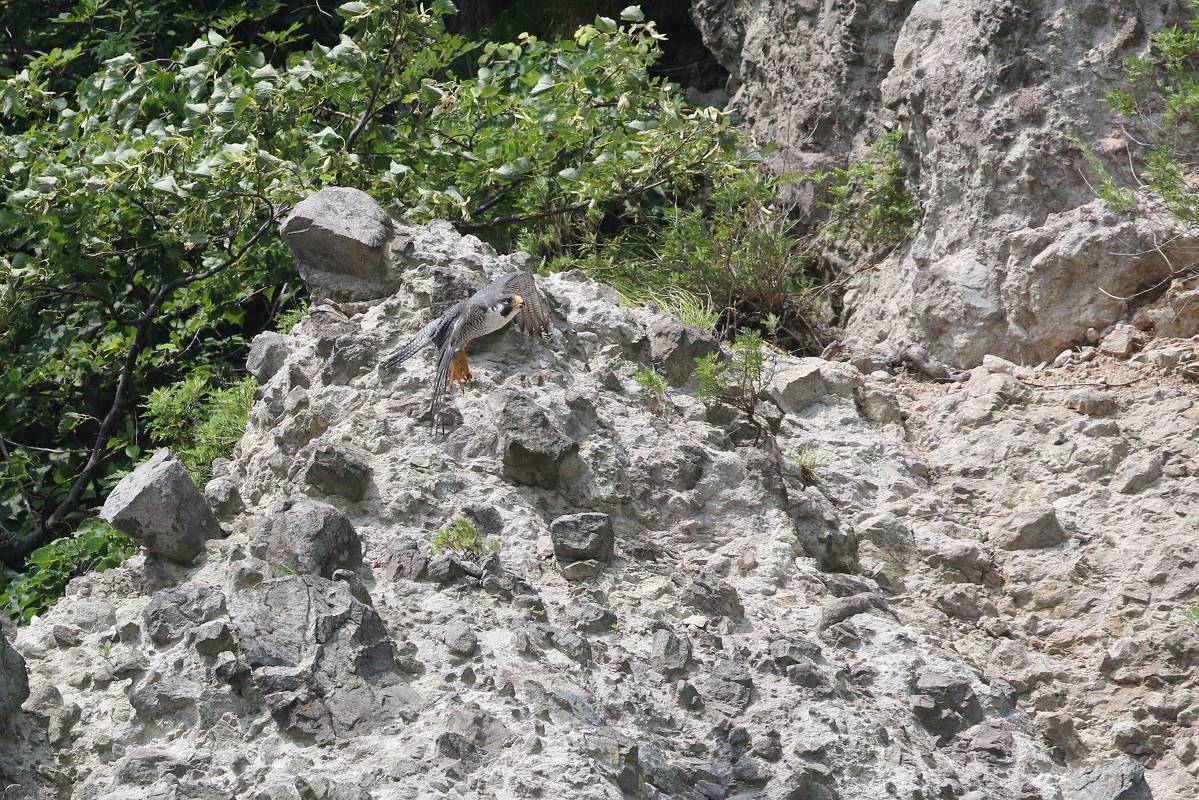 f0347565_17392017.jpg