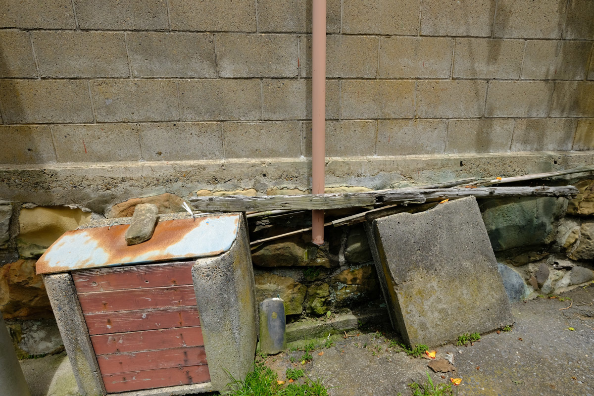 c0084666_10494104.jpg