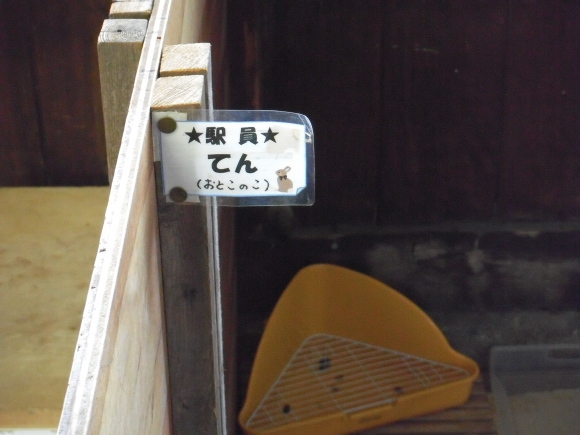 c0325468_20045899.jpg