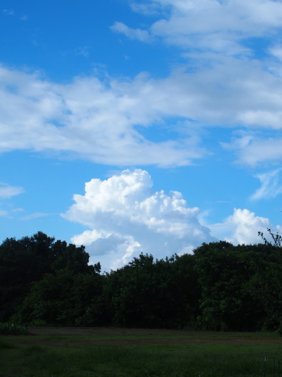 c0122670_22290254.jpg