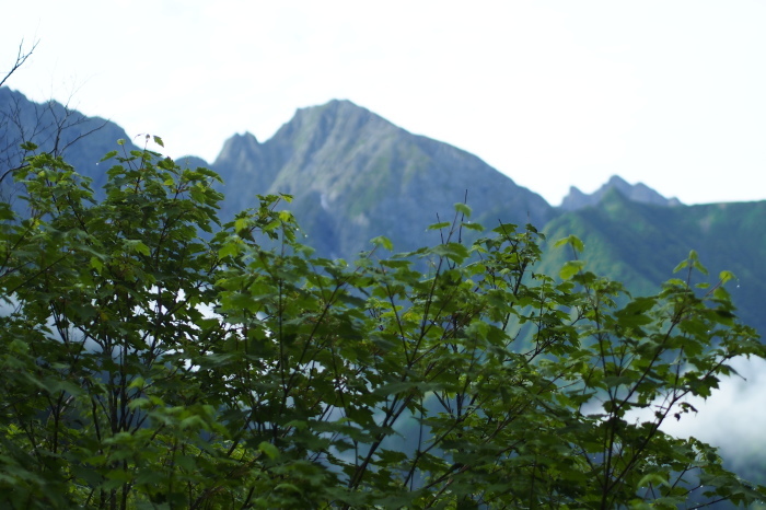e0307372_16075094.jpg