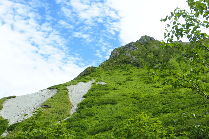 e0307372_17102397.jpg