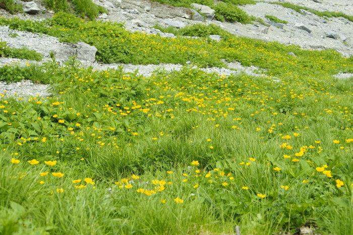 e0307372_20521814.jpg