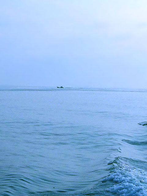 f0056476_1095354.jpg