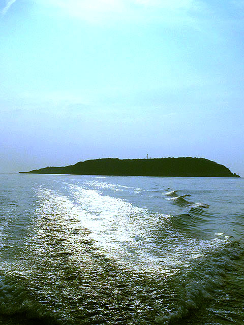 f0056476_9452578.jpg
