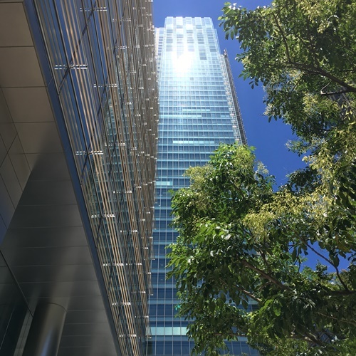 e0227680_11574502.jpg