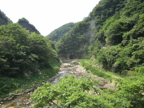 a0251786_236947.jpg