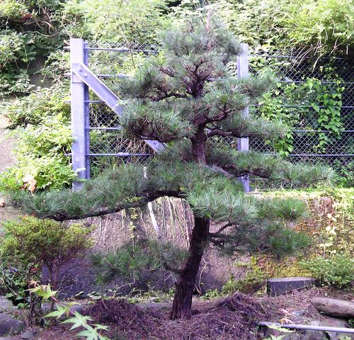 b0067795_823181.jpg