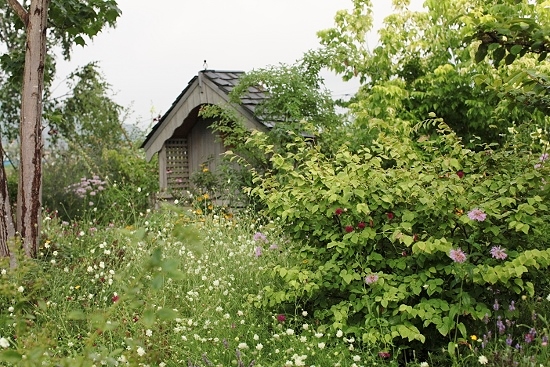 e0209997_225655100.jpg
